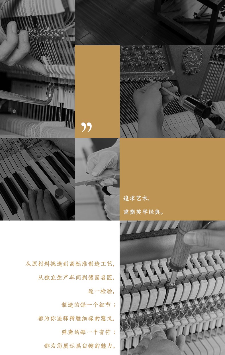 介绍7.jpg
